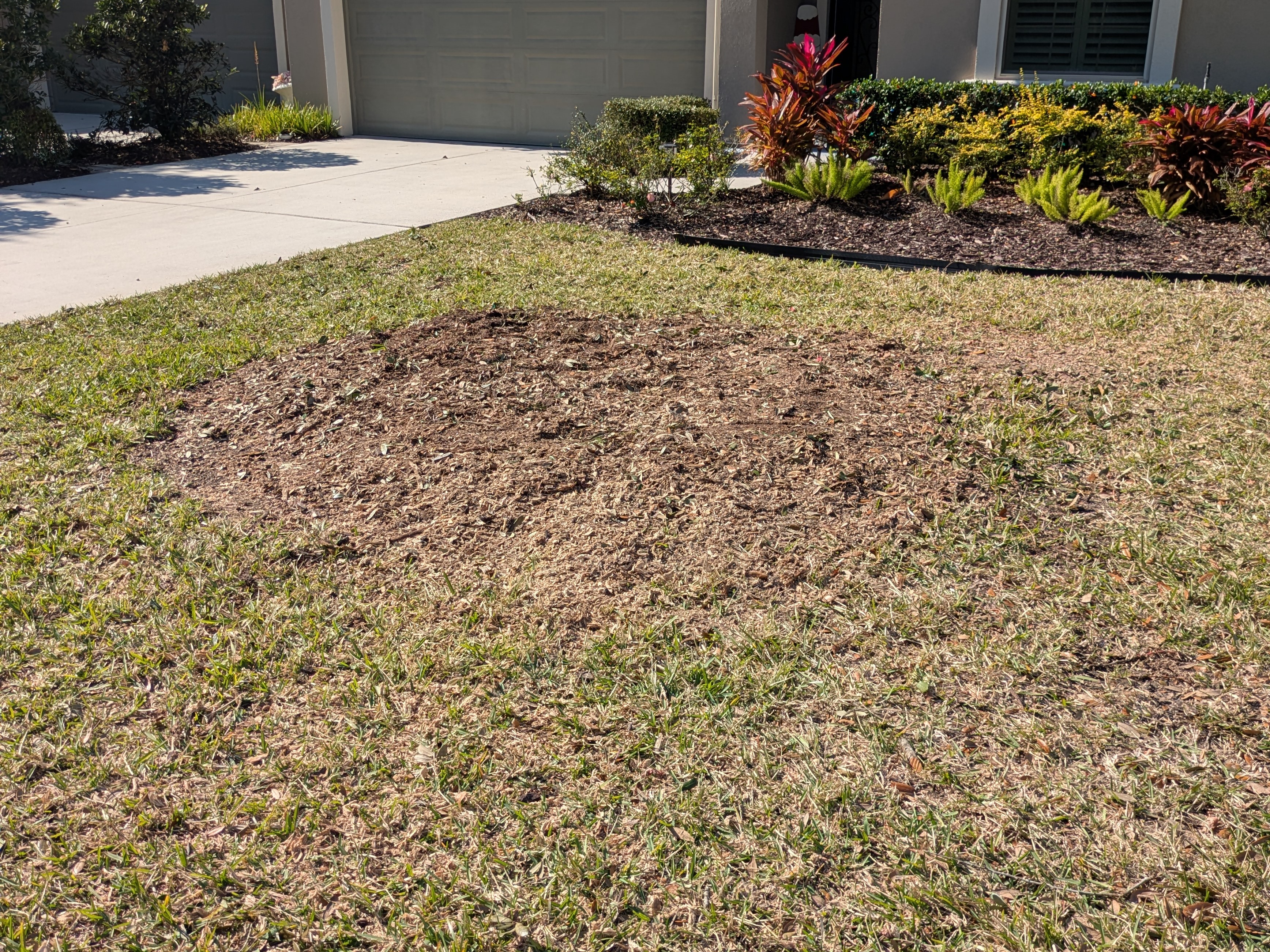 Clean lawn after professional stump grinding service completed