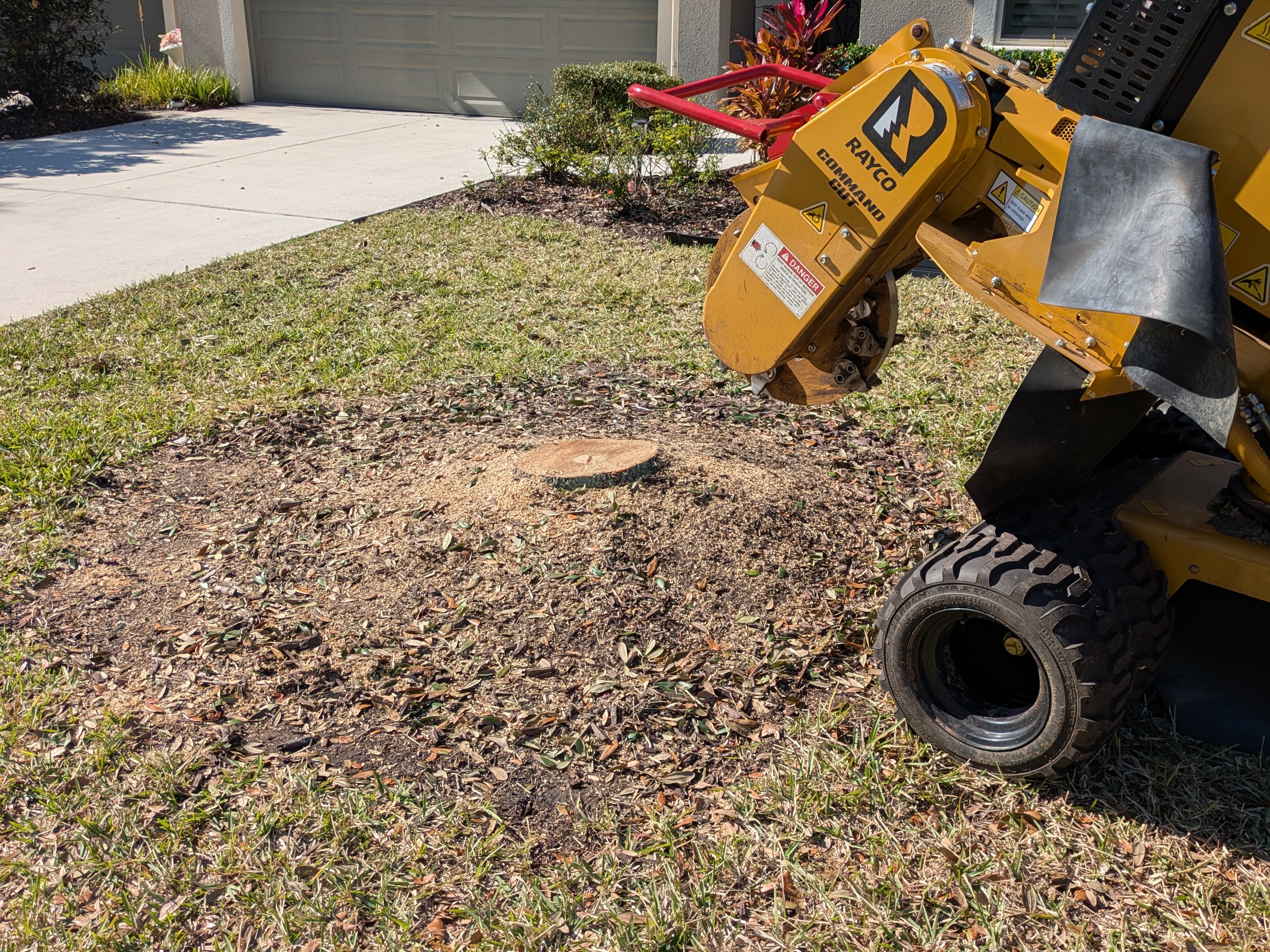 Tree stump before professional stump grinding removal service