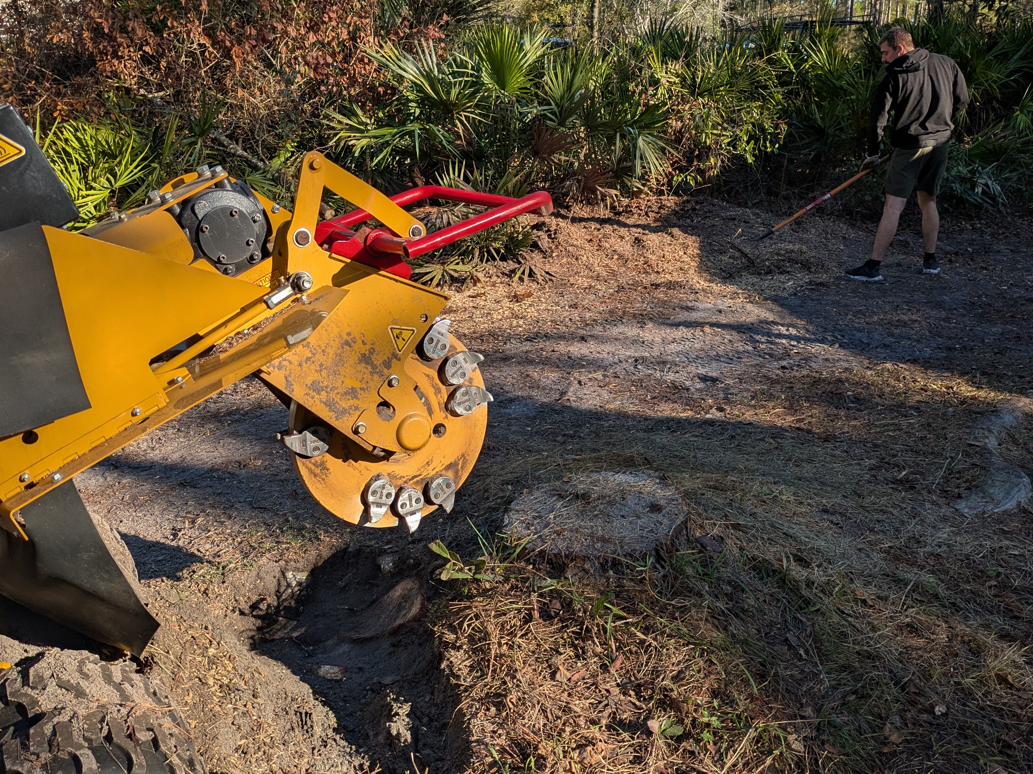 Jacksonville Florida stump removal team with professional equipment